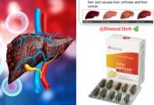 Heptovit – Millenium Herbal Care For LIVER DISFUNCTION