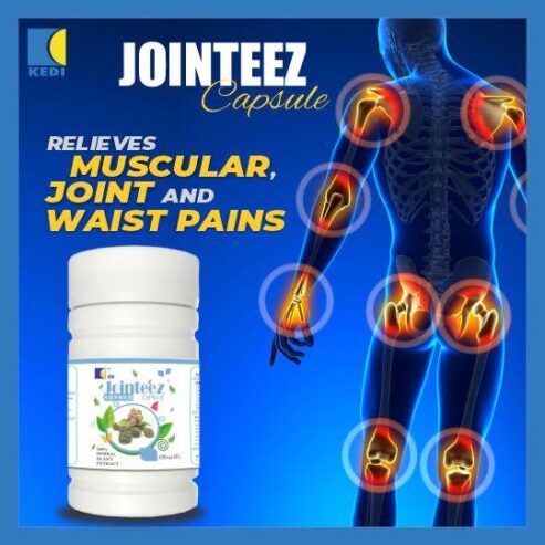 Jointeez Capsules Natural Herbal Extract Supplement