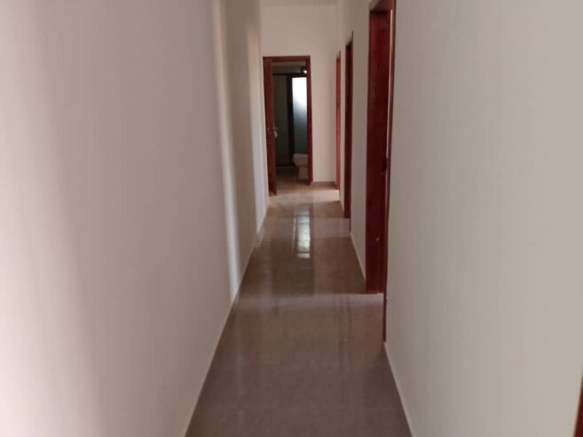 Sale and rental of lands and houses