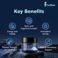 Gozilepe Shilajit Original Himalayan
