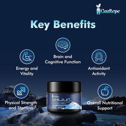 Gozilepe Shilajit Original Himalayan