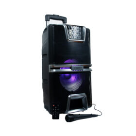 Nasco-25watts-Bluetooth-Party-Speaker-Nasd-250w