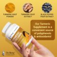 Dr. Berg Turmeric Supplement with Black Pepper BioPerine 1350mg